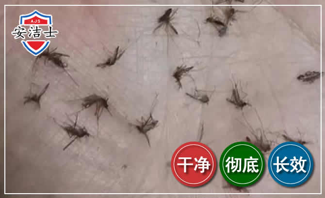 平湖蚊子防治-灭蚊