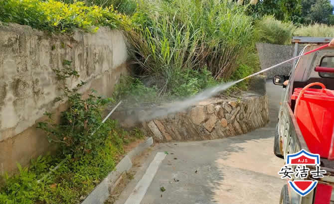 平湖道路堤坝白蚁防治