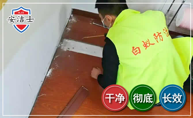 平湖除四害现场