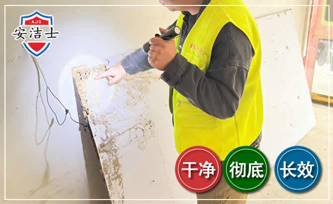 平湖除白蚁现场