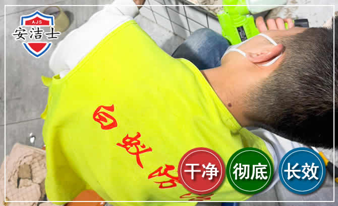 平湖白蚁根治现场